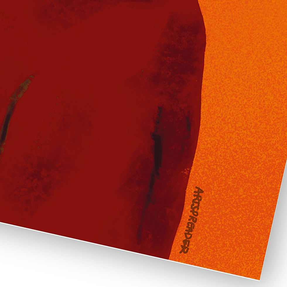 Miniature : BLACK BEAUTY