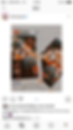 IMG_8195.PNG