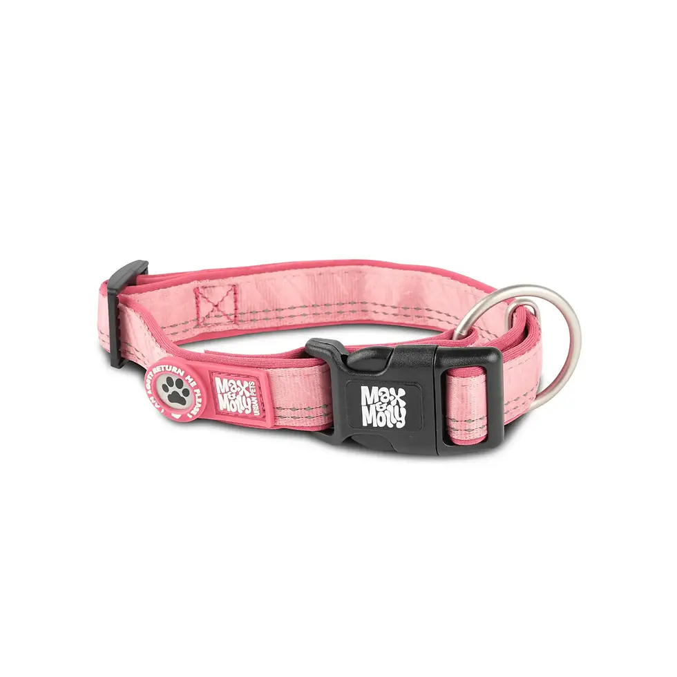 Pink dog collar with the text 