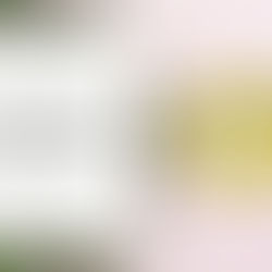 Business Plan Narrated Presentation