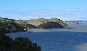 Carquinez Regional Shoreline