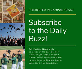 Daily buzz fb ad.png