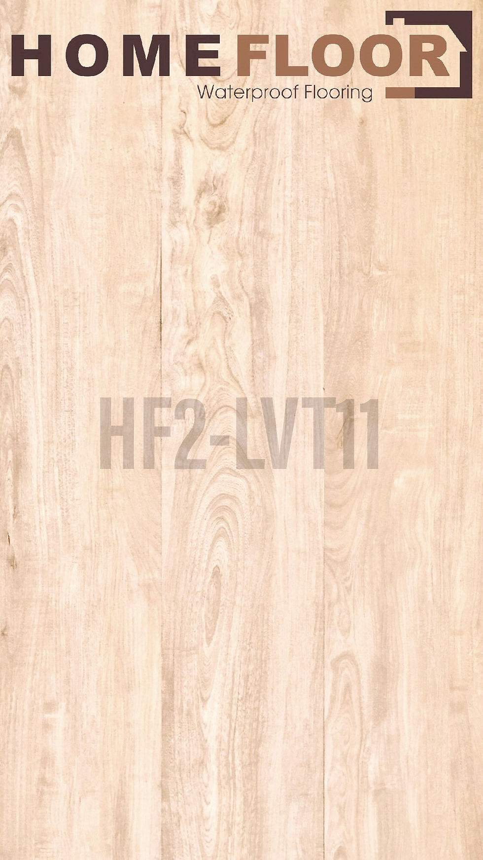 LVT11