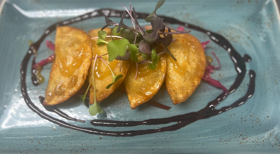 Duck Wontons