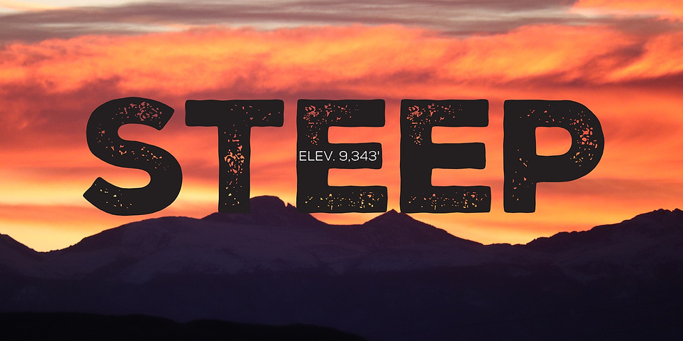 Taste & Toast - Steep Brewing & Coffee Roasters