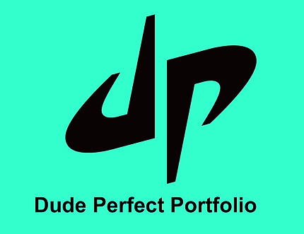 DP Portfolio.png