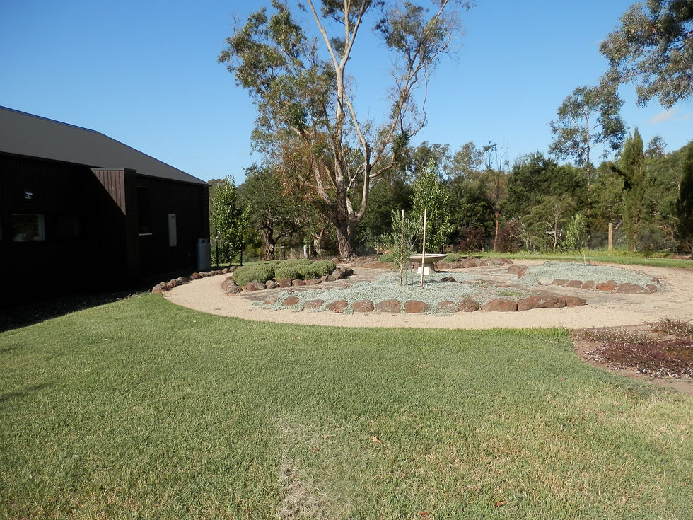 Collins St Drysdale landscaping-32