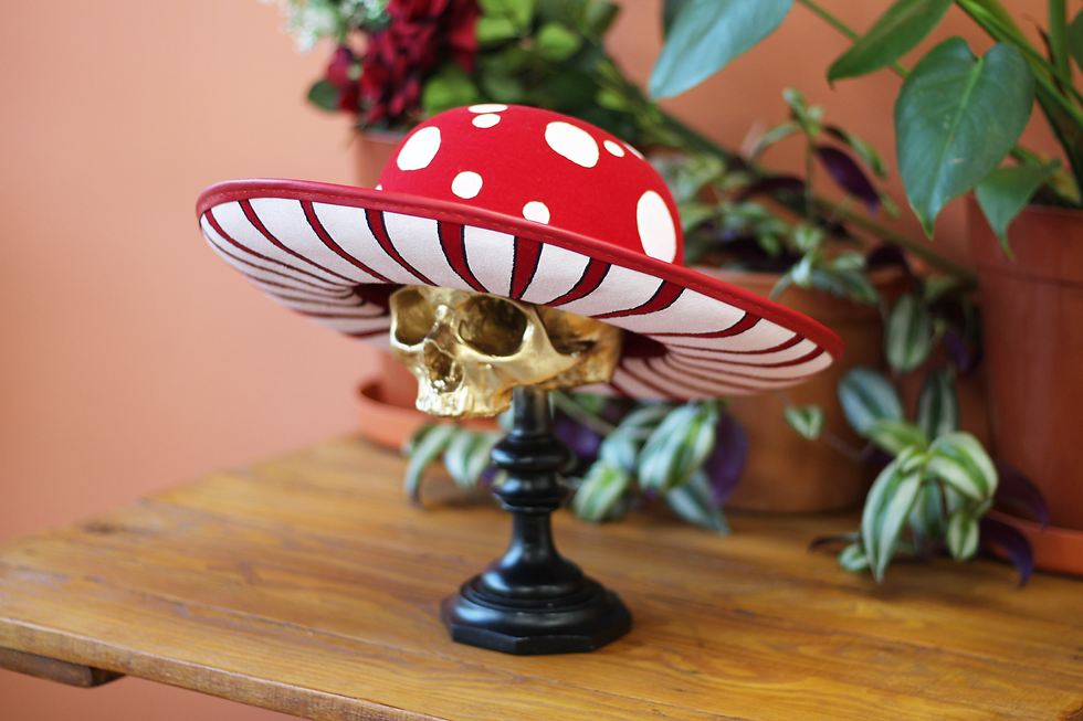 Thumbnail: Fly Agaric