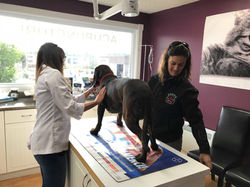 40326606_285936445520326_196788519676621