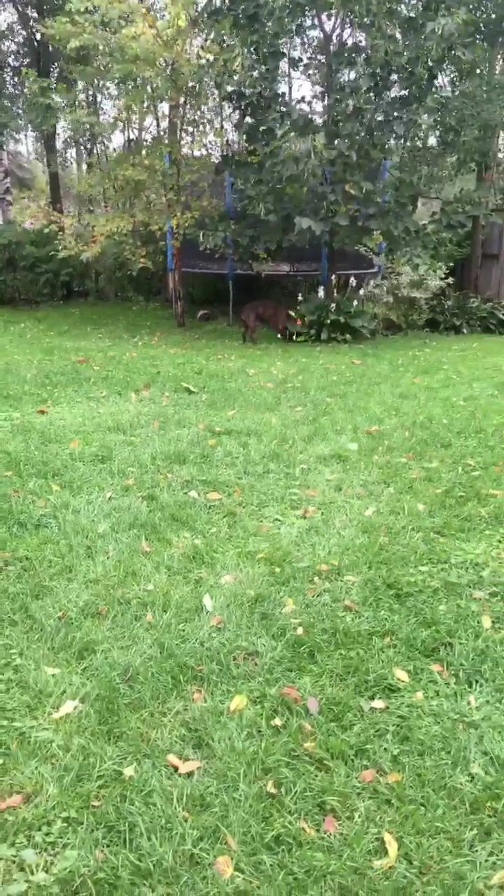 Thumbnail: BHSCC Research Necklace