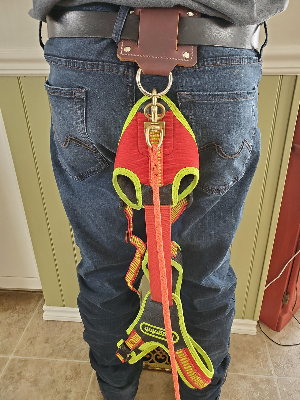 Thumbnail: Belt buckle for lanyard