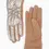 Thumbnail: Gold Quilted Gloves