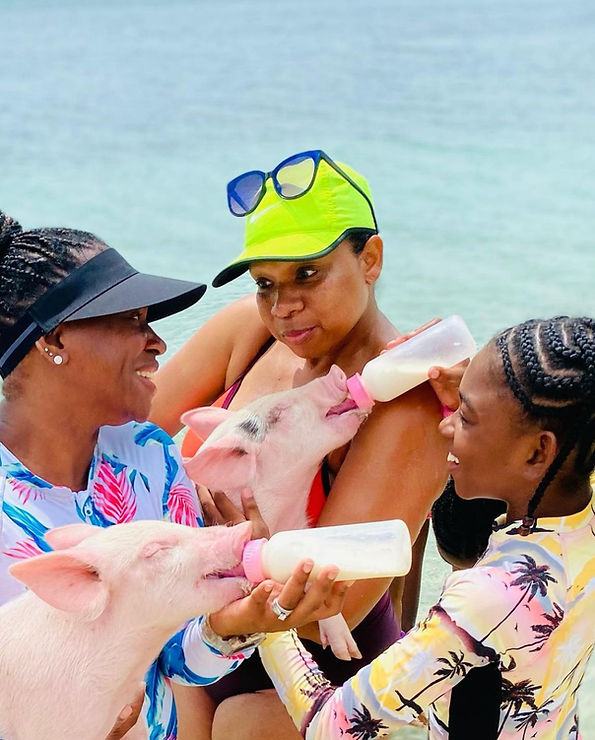 WhatsApp Image 2022-10-26 at 12.33.58 PM.jpeg