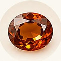 IMG-20261001-WA0008_edited.jpg