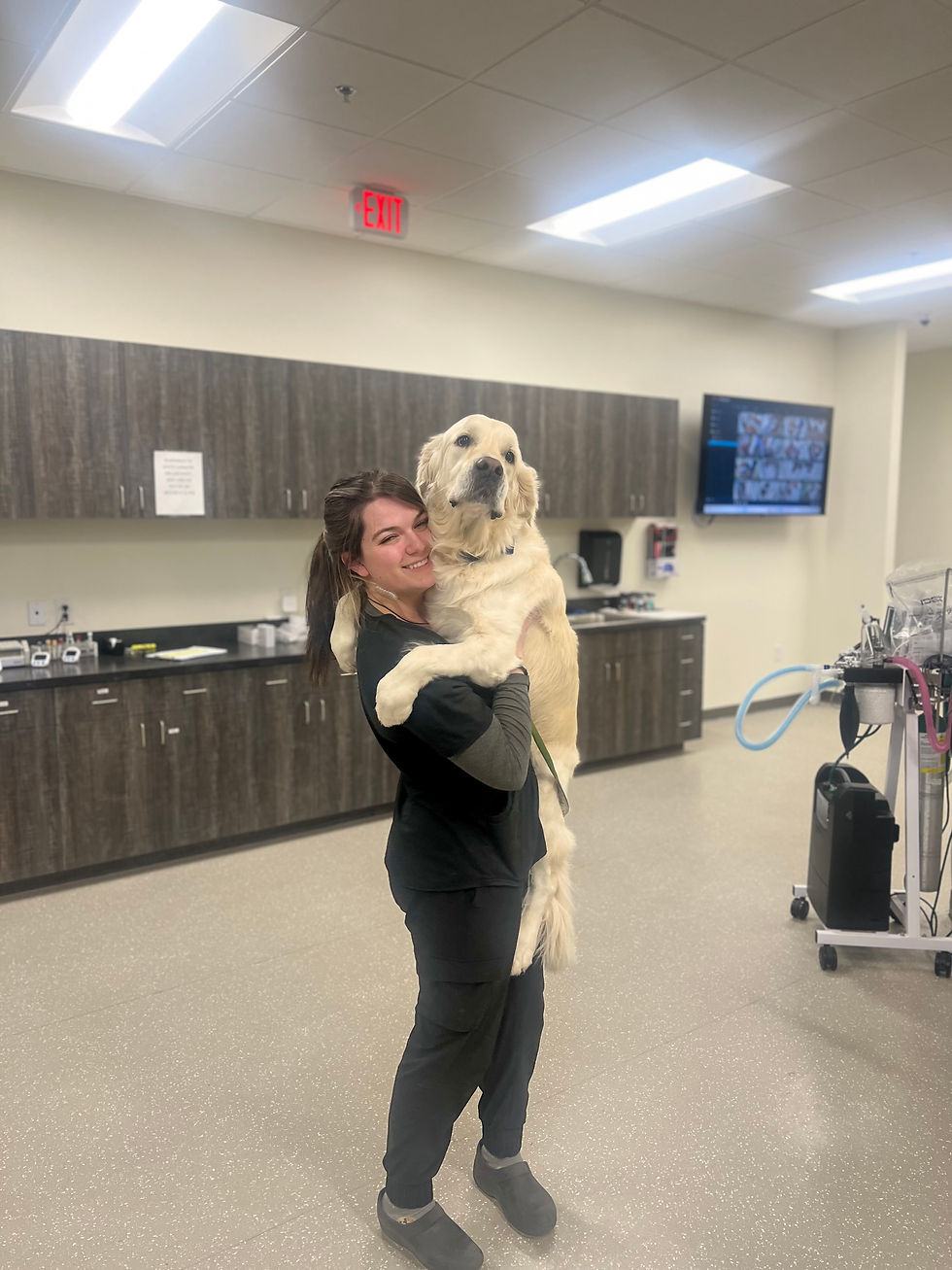 A woman holding a golden retriever at ArkVets, in an examination room.