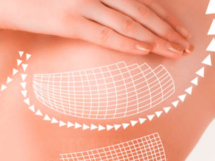 The Internal Bra: Support That Lasts