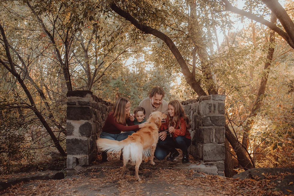 A candid, documentary-style portrait of a smiling family and their golden retriever on an old stone bridge in a sun-dappled forest.