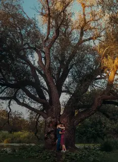 A couple embraces in front of a large tree during golden hour.