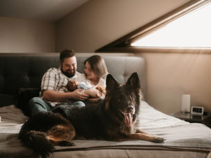 A Calm, Cozy Lifestyle Newborn Session at Home in Val-des-Monts