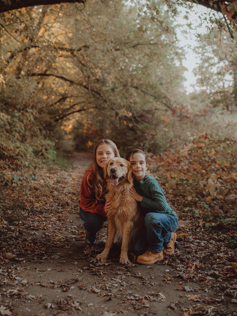 Two children kneeling and embracing their golden-colored family dog on a scenic autumn trail during an outdoor storytelling photography session in the Ottawa Valley.