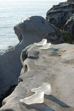 DSC_1064.jpg