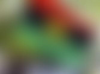 Protest: Live Bullets Were Fired At Us, Indigenous People Of Biafra