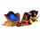 Thumbnail: Handcrafted Paper Butterfly
