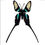 Thumbnail: Handcrafted Paper Butterfly