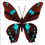 Thumbnail: Handcrafted Paper Butterfly