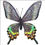 Thumbnail: Handcrafted Paper Butterfly