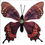 Thumbnail: Handcrafted Paper Butterfly