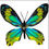 Thumbnail: Handcrafted Paper Butterfly