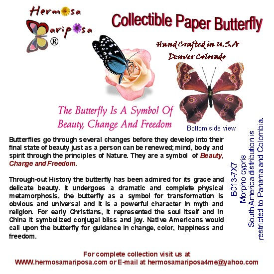 Thumbnail: Handcrafted Paper Butterfly