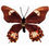 Thumbnail: Handcrafted Paper Butterfly