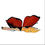 Thumbnail: Handcrafted Paper Butterfly