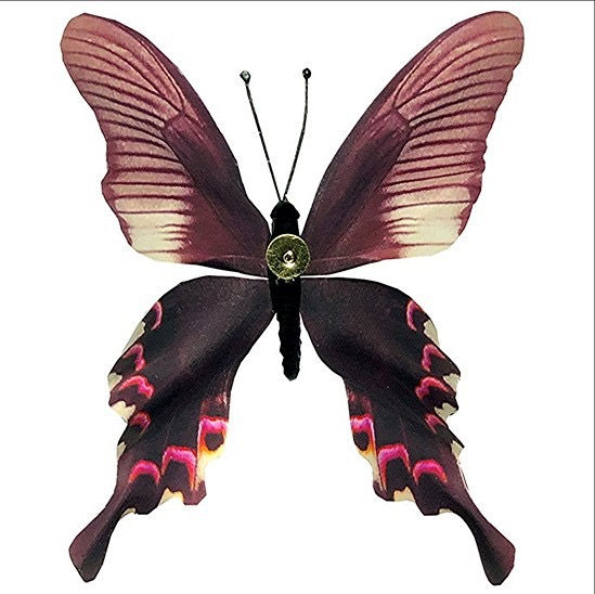 Thumbnail: Handcrafted Paper Butterfly