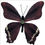 Thumbnail: Handcrafted Paper Butterfly