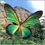 Thumbnail: HandcraftedPaper Butterfly