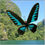 Thumbnail: Handcrafted Paper Butterfly