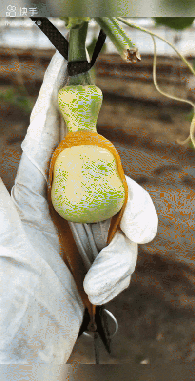 save_feed_2E327FBC-9906-4764-A964-171F34400664 (3).gif