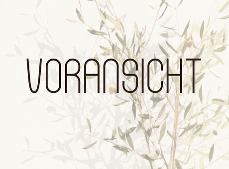 visualisierung-voransicht-gründe
