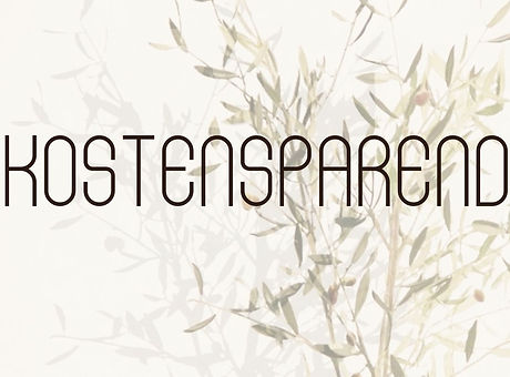 visualisierung-kostensparend-gründe