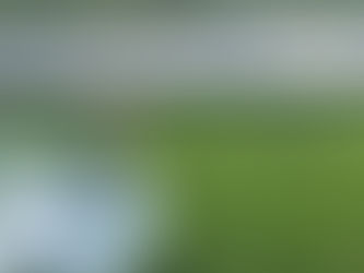 DIY Wedding or Decor Included Package Which is Best for Your Big Day