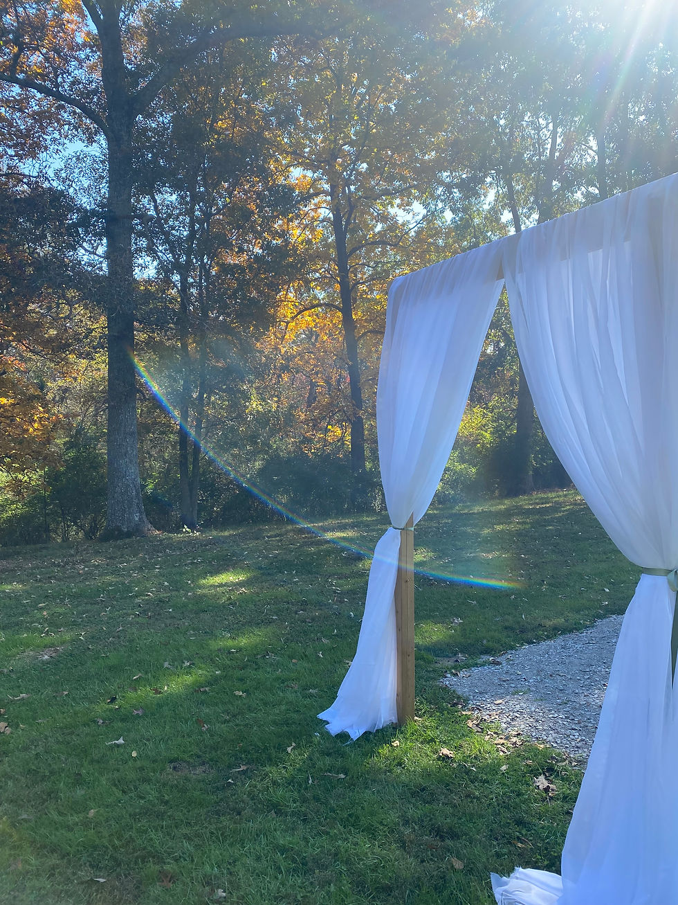 White draped archway in a sunny woodland setting with autumn leaves. Sunlight creates a lens flare over green grass and trees. Peaceful mood.