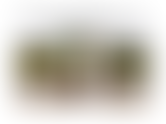 Evolving Wedding Packages for a Modern Celebration in Middle and East Tennessee