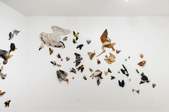 11.22.21-Sarah Conti-5-.jpg
