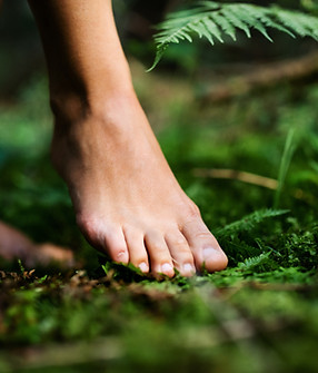 AdobeStock_418996252.jpeg