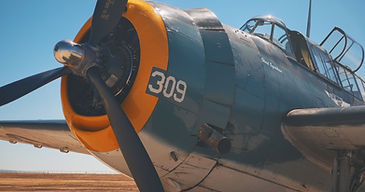 CAF TBM Torpedo plane.jpg
