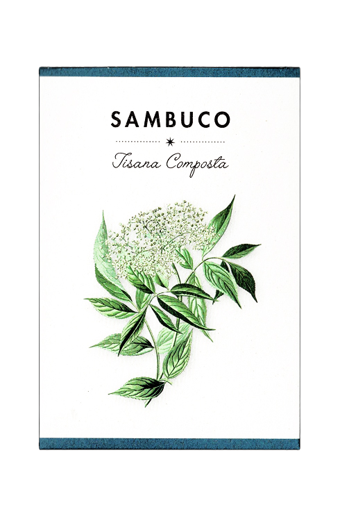 Tisana Composta Sambuco Abbazia di Praglia