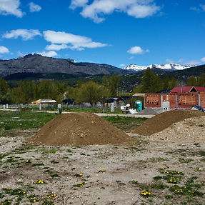 Las Cortaderas
